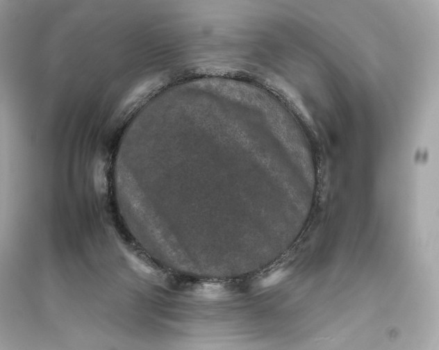 X0000094820114200711301638