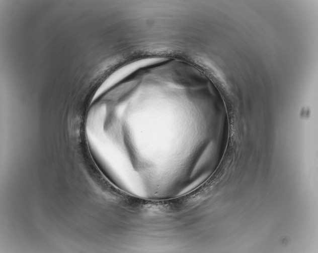 X0000094820115200711301638