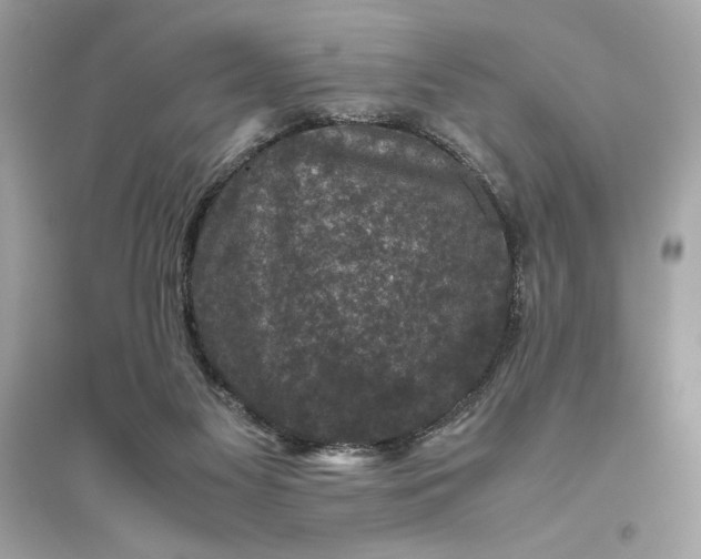 X0000094820117200711301638