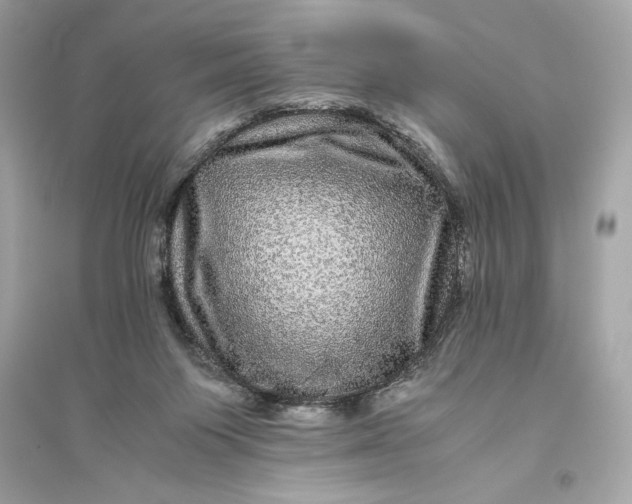 X0000094820119200711301638