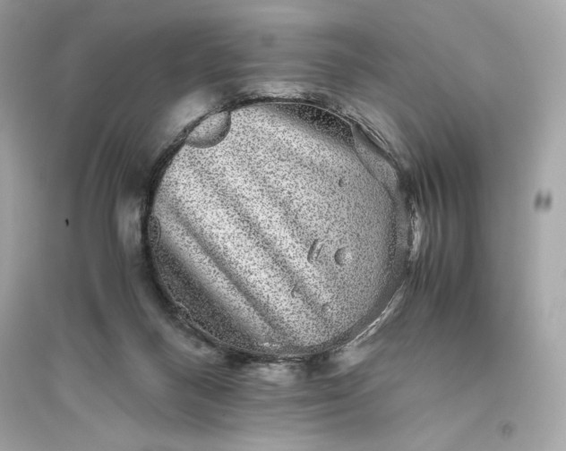 X0000094820120200711301638