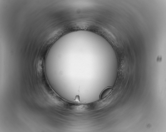 X0000094820122200711301638