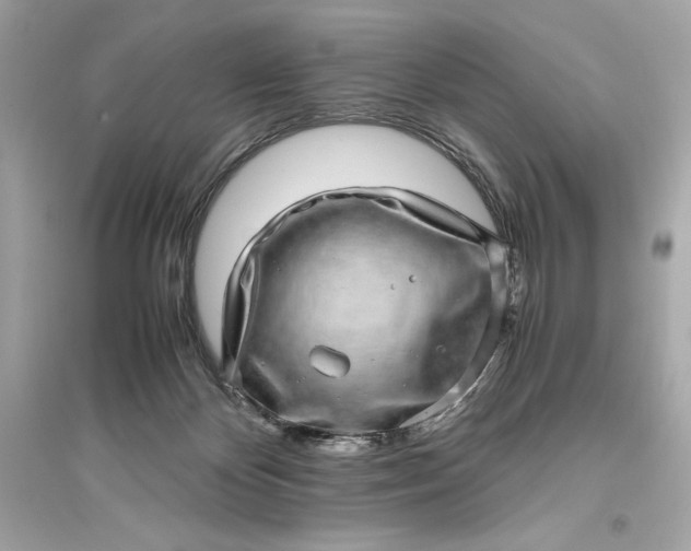 X0000094820124200711301638