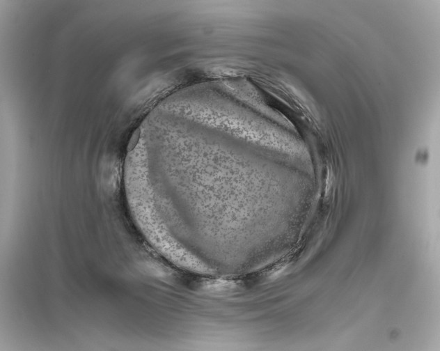 X0000094820125200711301638