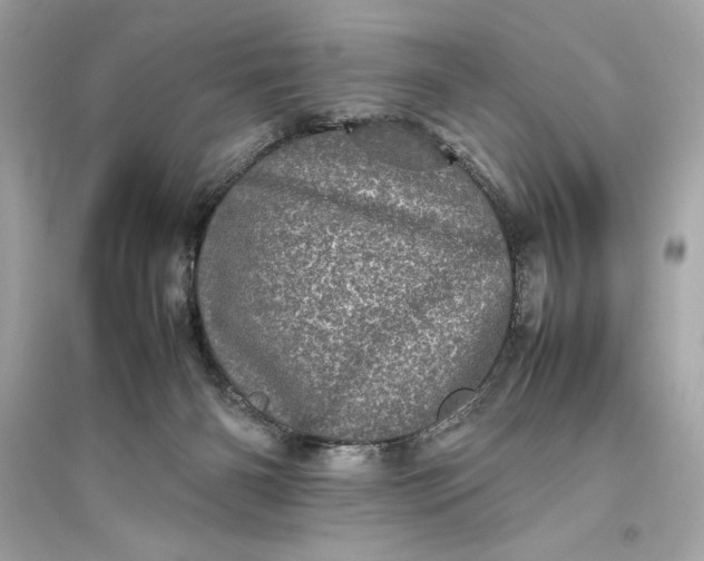 X0000094820126200711301638