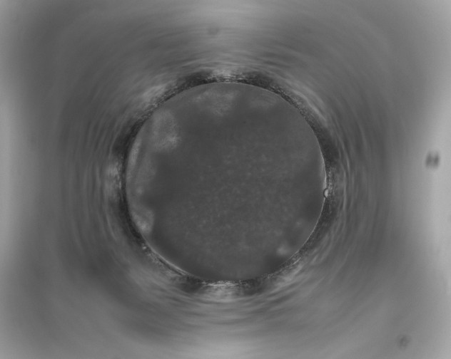 X0000094820127200711301638