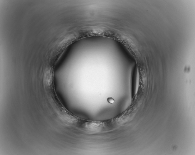 X0000094820129200711301638