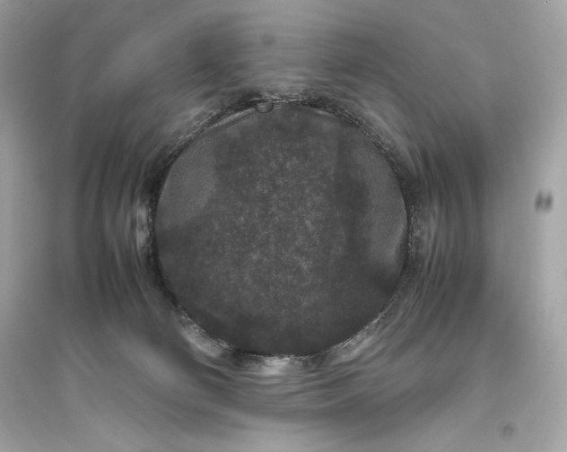 X0000094820130200711301638