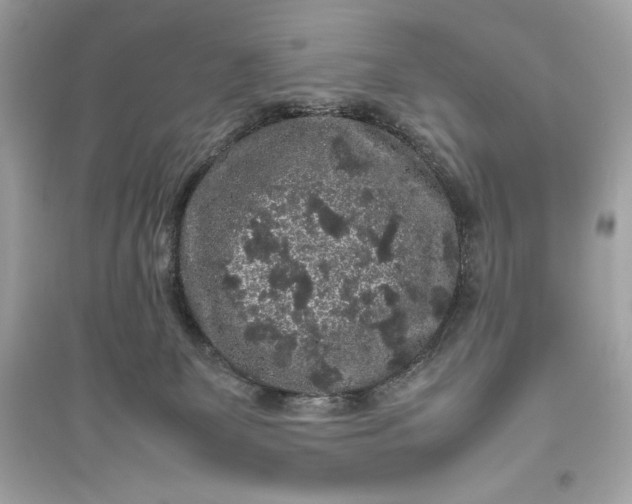 X0000094820131200711301638