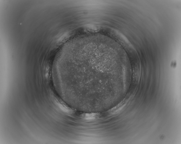 X0000094820134200711301638