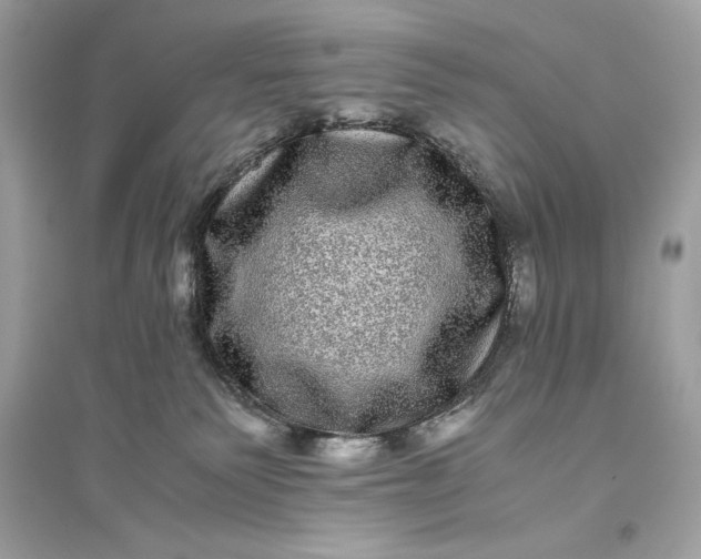 X0000094820135200711301638