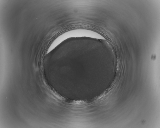 X0000094820137200711301638