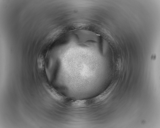 X0000094820138200711301638