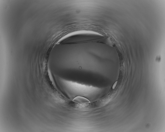 X0000094820139200711301638