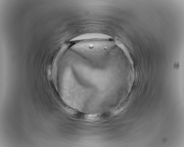 X0000094820141200711301638