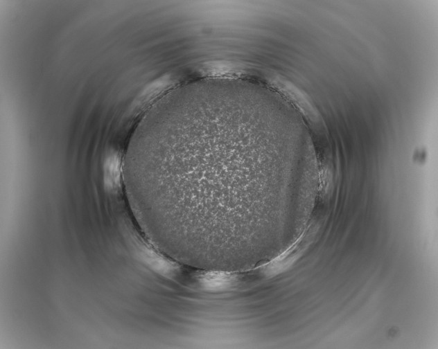 X0000094820142200711301638