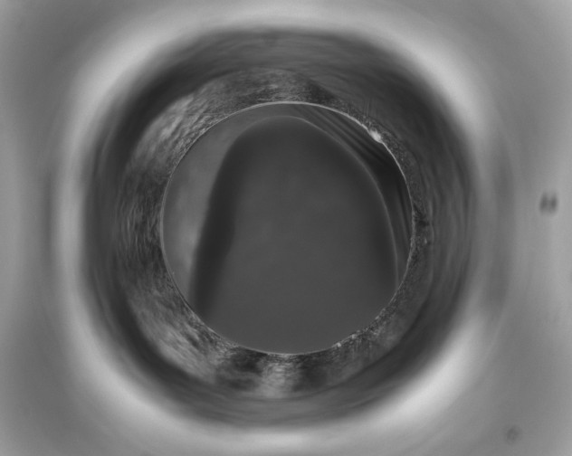 X0000094820143200711301638