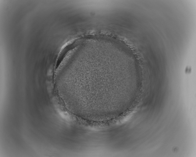 X0000094820144200711301638