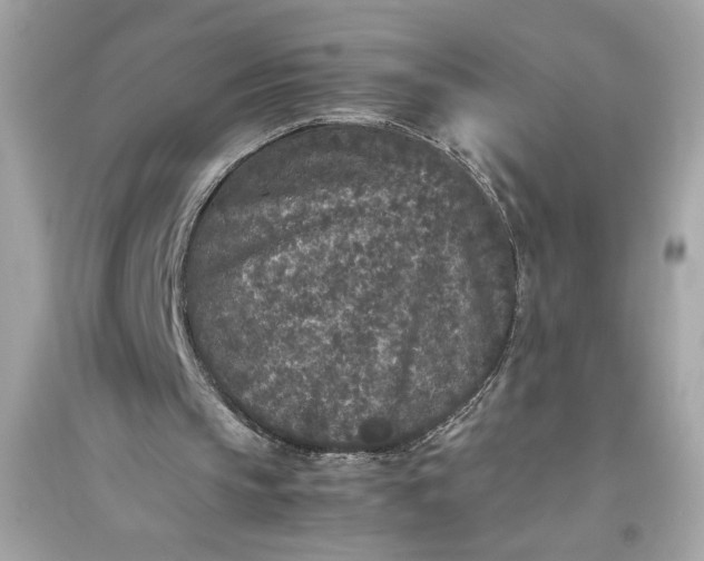 X0000094820145200711301637