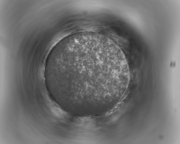 X0000094820146200711301637