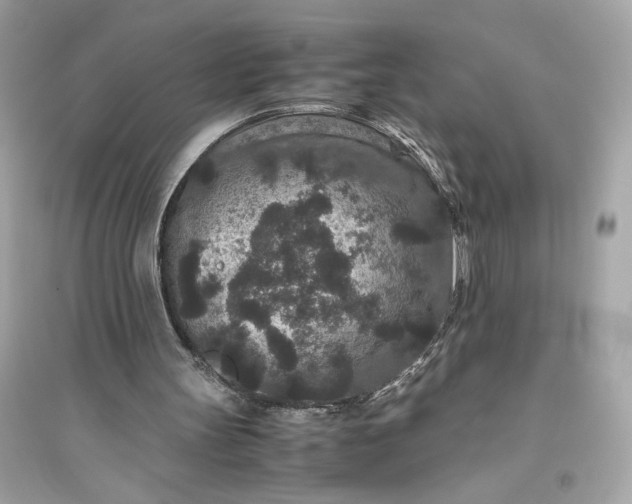 X0000094820147200711301637