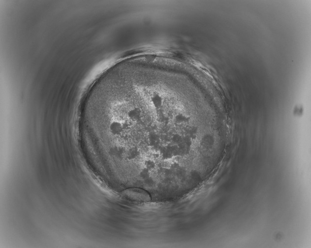 X0000094820149200711301637