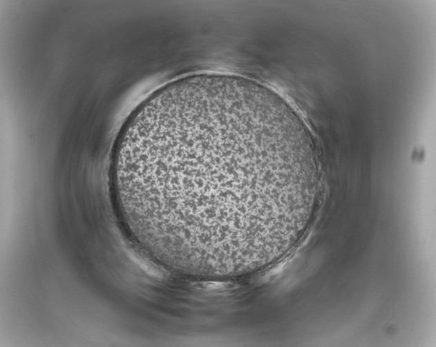 X0000094820151200711301637