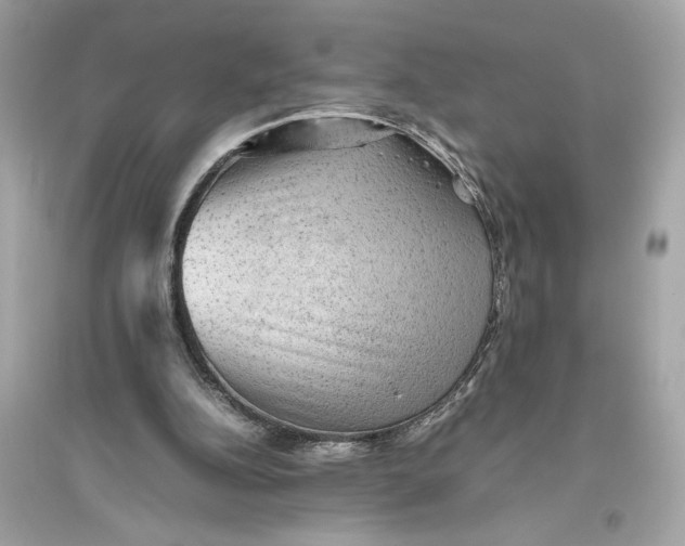 X0000094820152200711301637