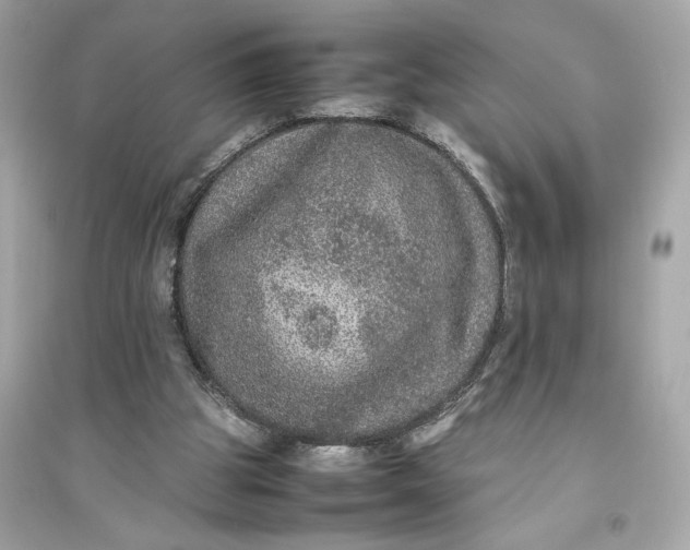 X0000094820153200711301637