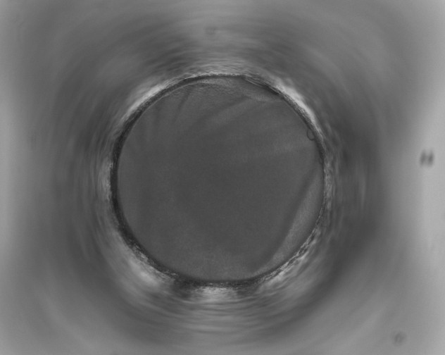 X0000094820154200711301637