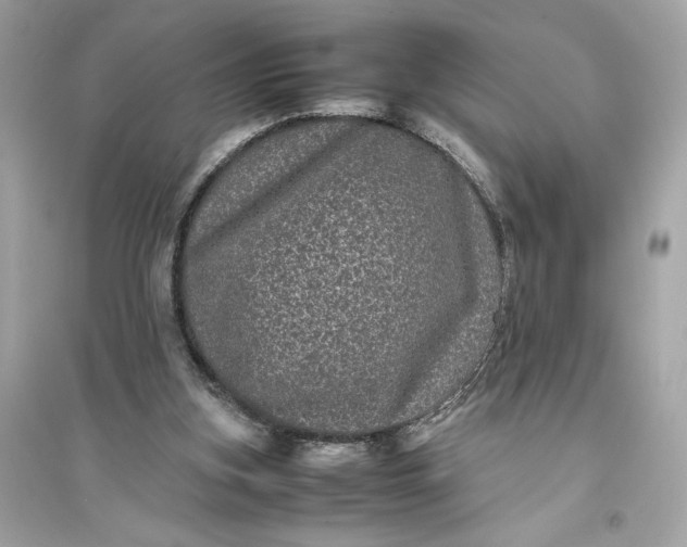 X0000094820155200711301637