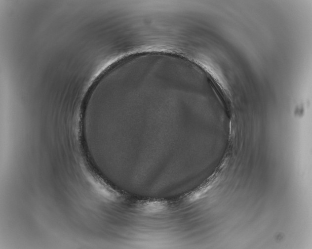 X0000094820156200711301637