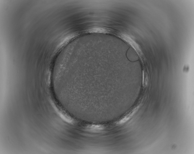 X0000094820157200711301637