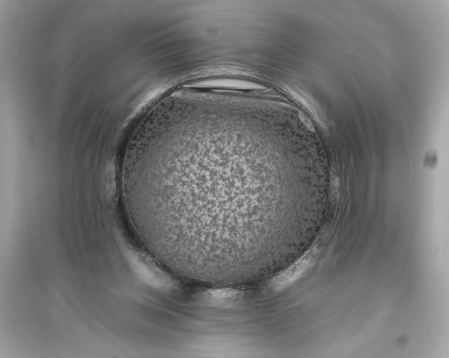 X0000094820158200711301637