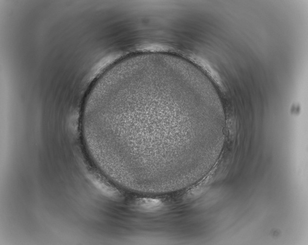 X0000094820159200711301637