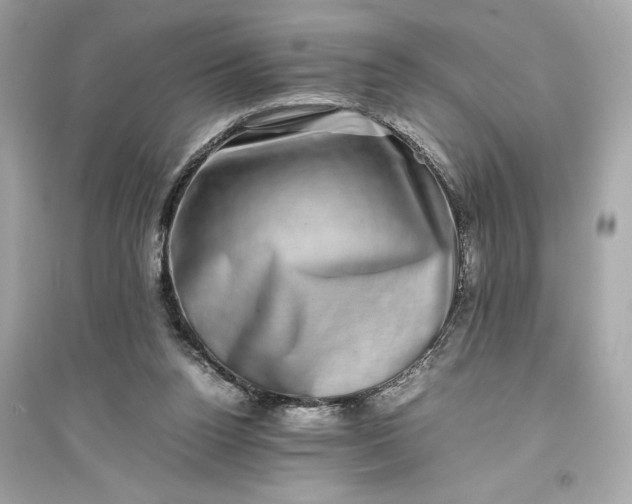 X0000094820160200711301637