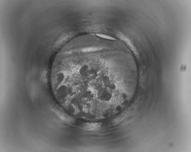 X0000094820161200711301637