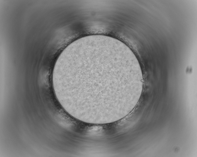 X0000094820162200711301637