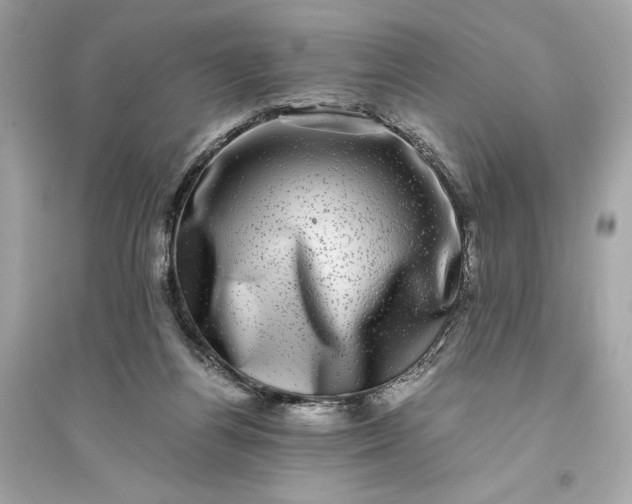 X0000094820164200711301637