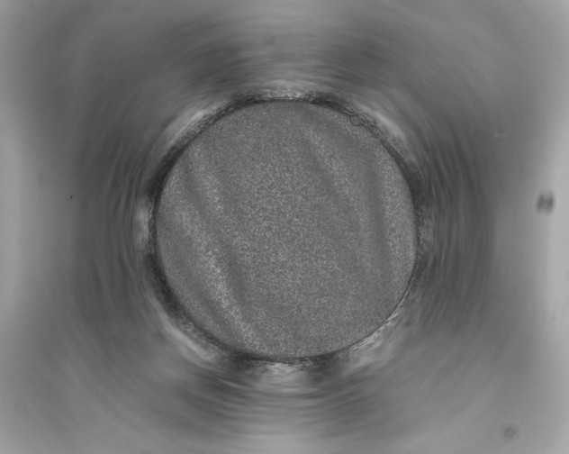 X0000094820166200711301637