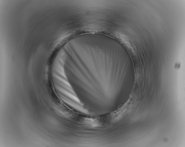 X0000094820167200711301637