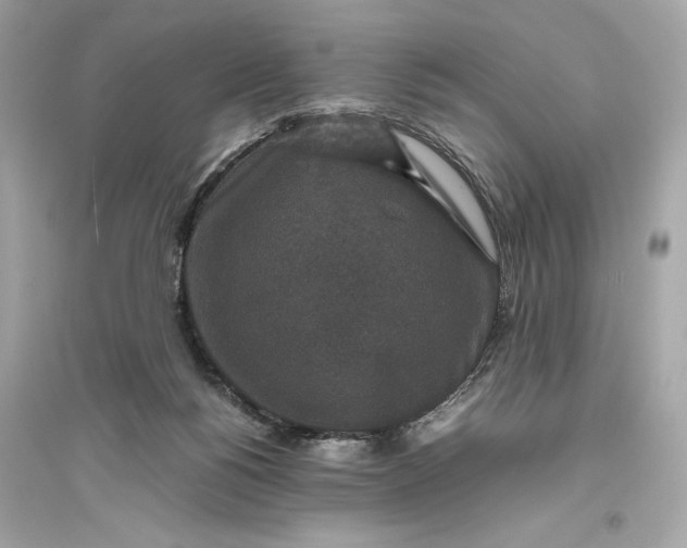 X0000094820168200711301637