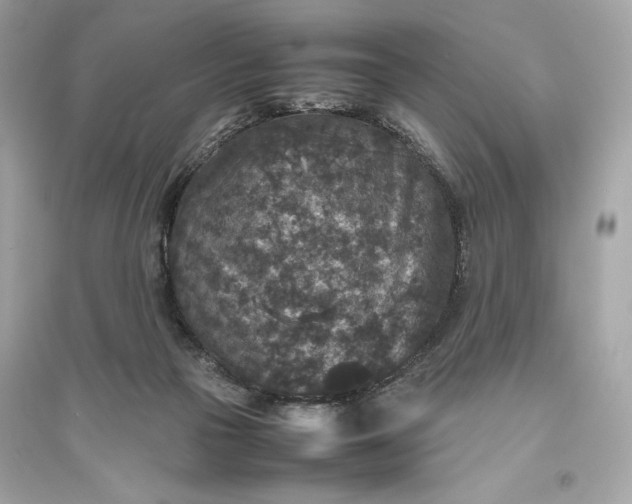 X0000094820169200711301637