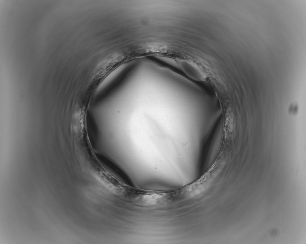 X0000094820172200711301637