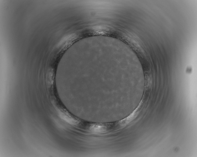 X0000094820174200711301638