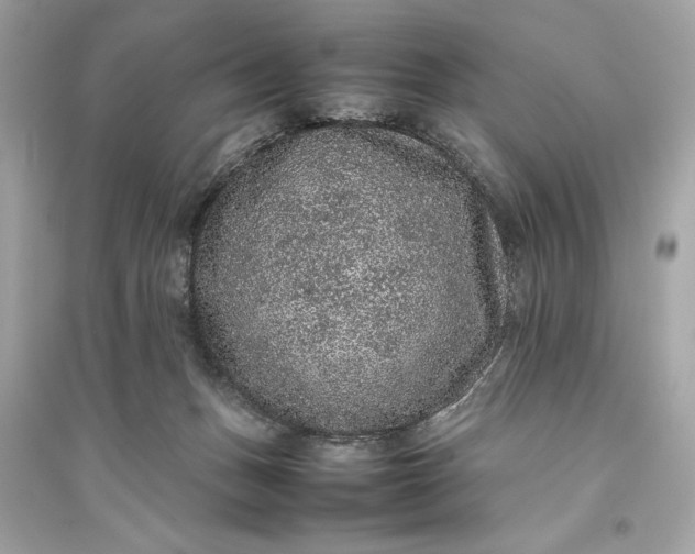 X0000094820175200711301638