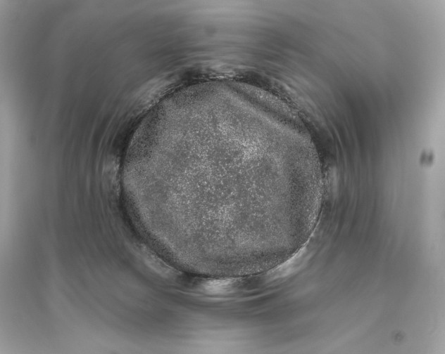 X0000094820178200711301638