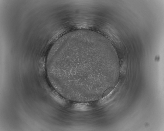 X0000094820179200711301638