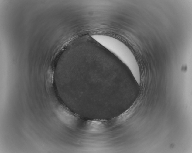 X0000094820180200711301638