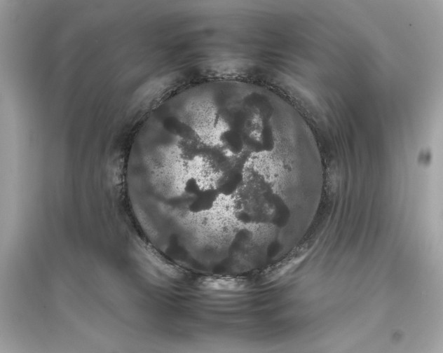 X0000094820181200711301638